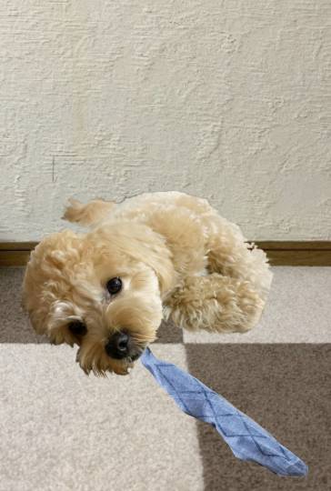 生き物ルーム第35