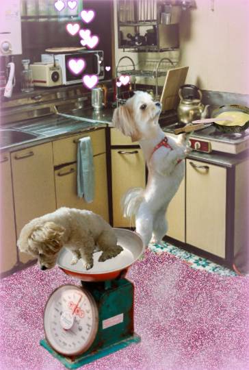 生き物ルーム第34