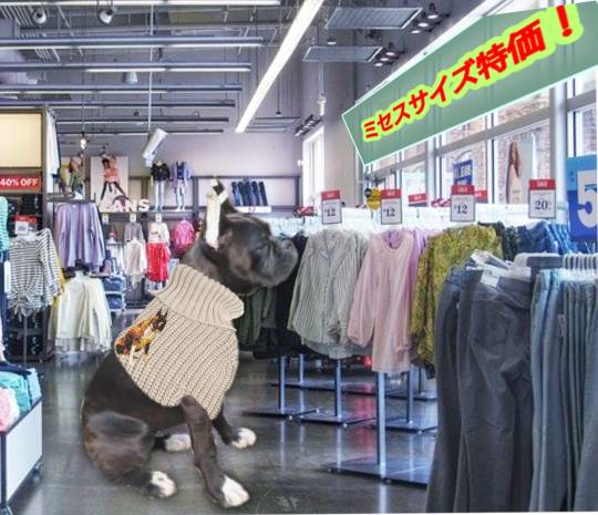 生き物ルーム第38