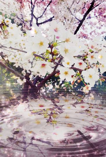 花鳥風月に心を込めて...　(エアー花トピ2)