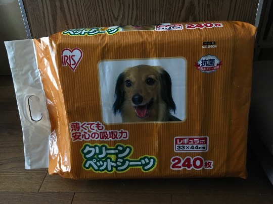 生き物ルーム第36