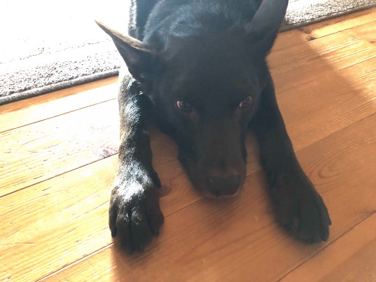 生き物ルーム第37