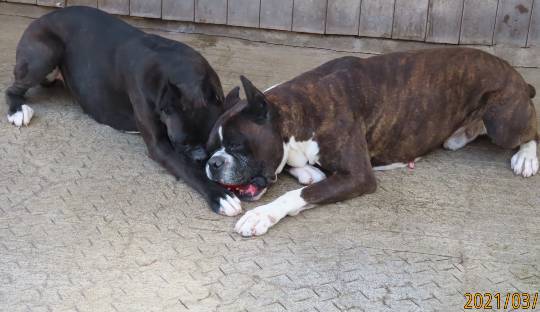 生き物ルーム第39