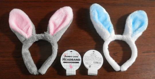 生き物ルーム第37