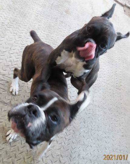 生き物ルーム第38