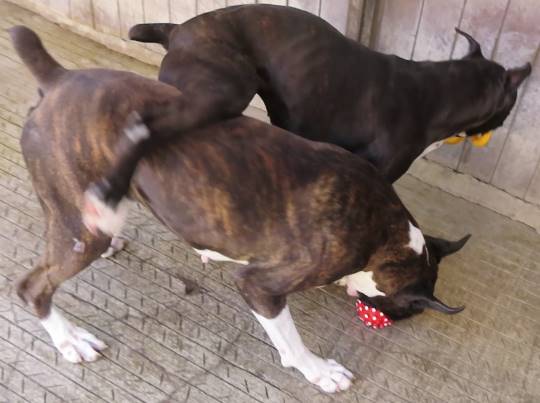 生き物ルーム第36