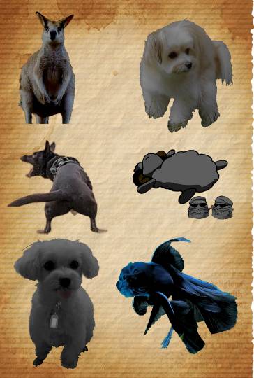 生き物ルーム第38