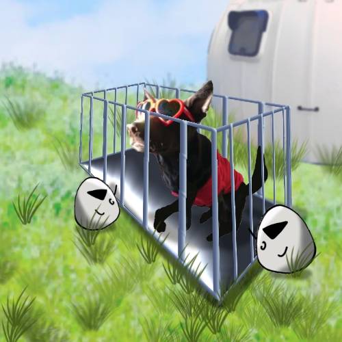 生き物ルーム第36