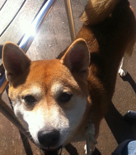 生き物ルーム第39