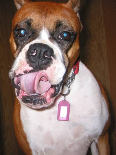 生き物ルーム第37