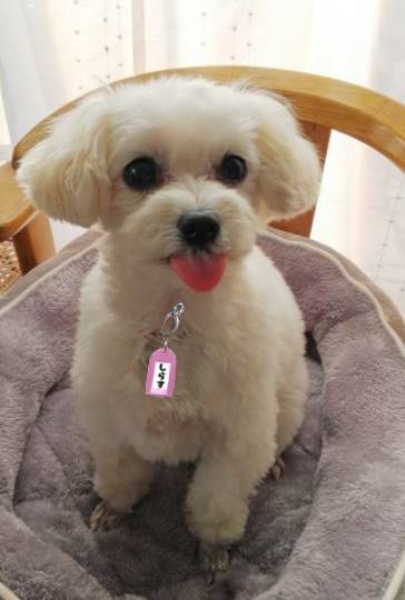 生き物ルーム第37