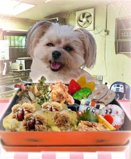 生き物ルーム第37