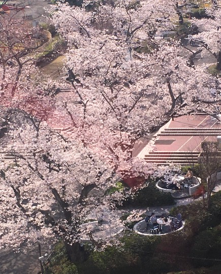 生き物ルーム第39