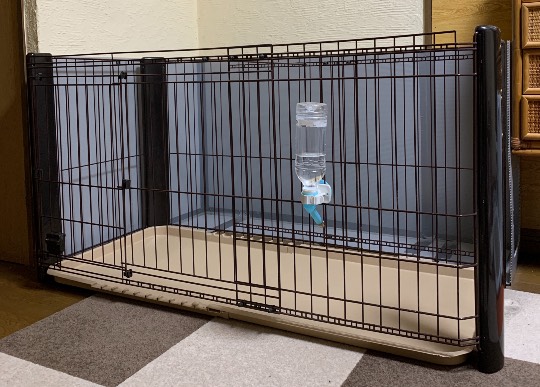 生き物ルーム第36