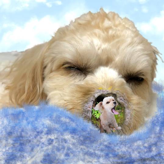 生き物ルーム第39