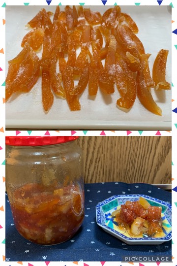 マスク同窓会詰所兼ニューフェイス歓迎所18