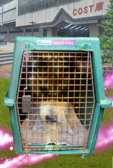 生き物ルーム第36