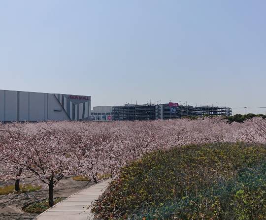 マスク同窓会詰所兼ニューフェイス歓迎所19