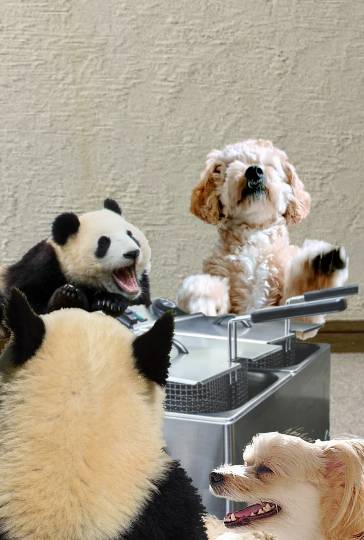 生き物ルーム第39