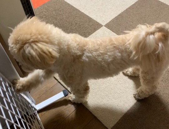 生き物ルーム第37