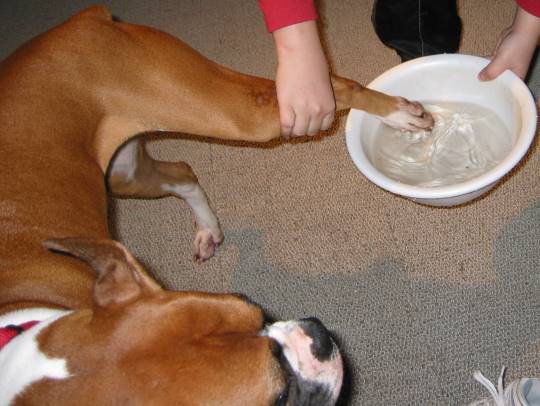 生き物ルーム第37