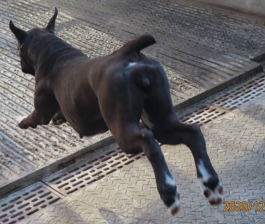 生き物ルーム第38