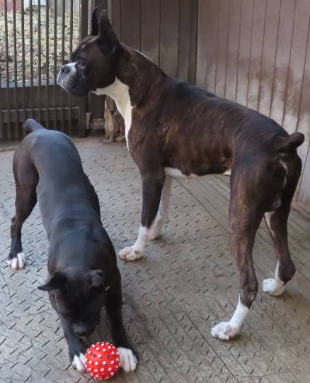 生き物ルーム第36