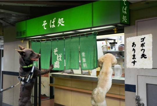 生き物ルーム第38