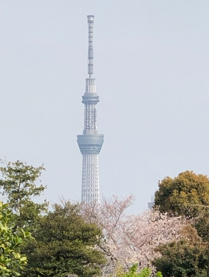 マスク同窓会詰所兼ニューフェイス歓迎所19