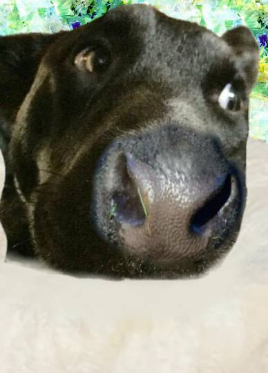 生き物ルーム第39