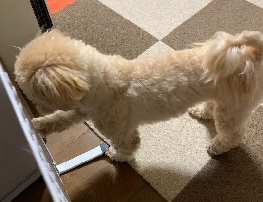 生き物ルーム第37