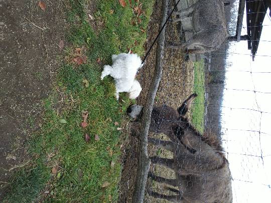 生き物ルーム第37