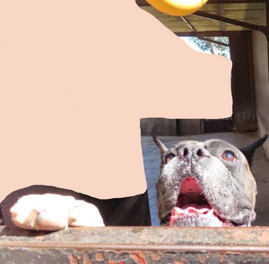 生き物ルーム第36