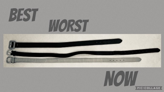 春だ！あつまれ雑談&amp;ゲーム好きの森・Ⅻ  寄ってかれ〜♪♪