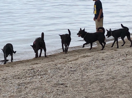 生き物ルーム第39