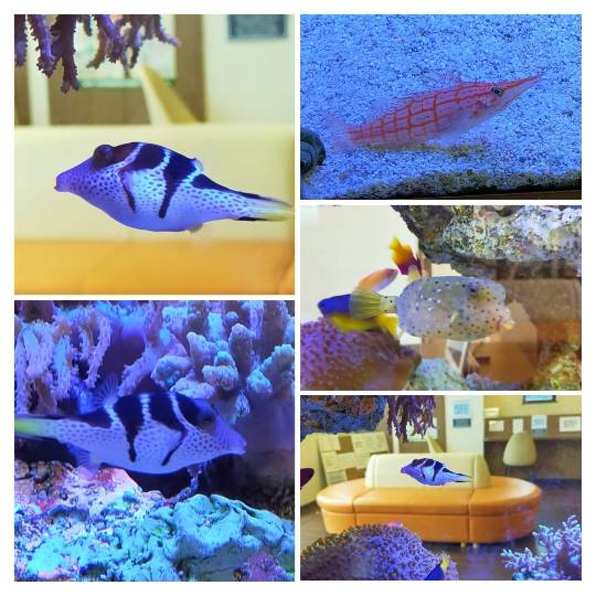 ★ドンキ♡♡ロピア 雑談22★