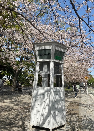 生き物ルーム第39