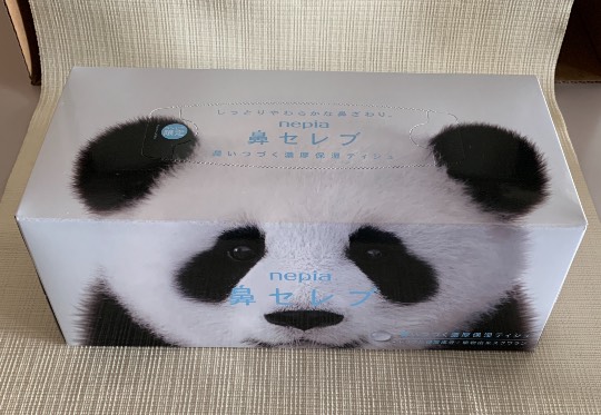 生き物ルーム第38