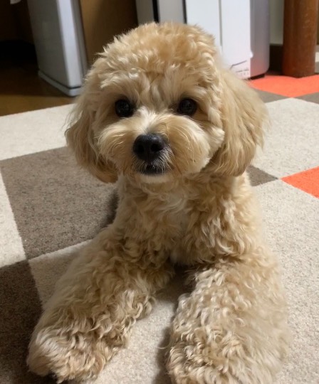 生き物ルーム第39