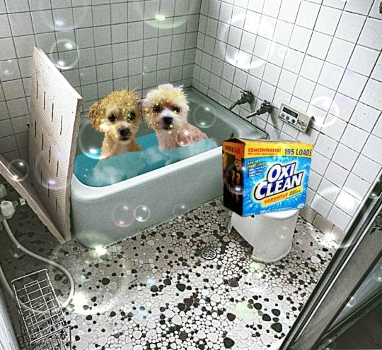 生き物ルーム第38