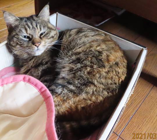 生き物ルーム第39