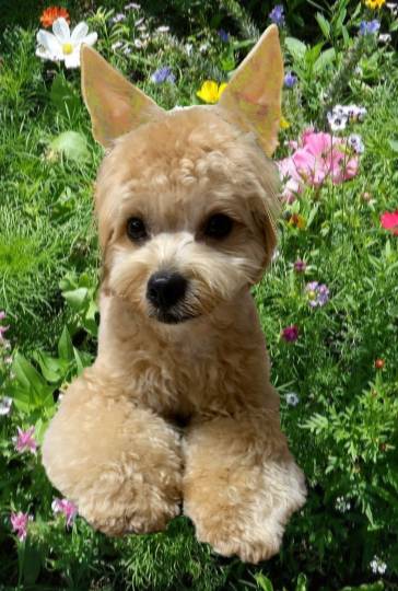 生き物ルーム第37