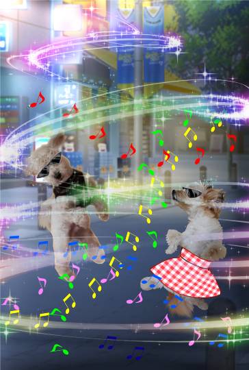 生き物ルーム第37