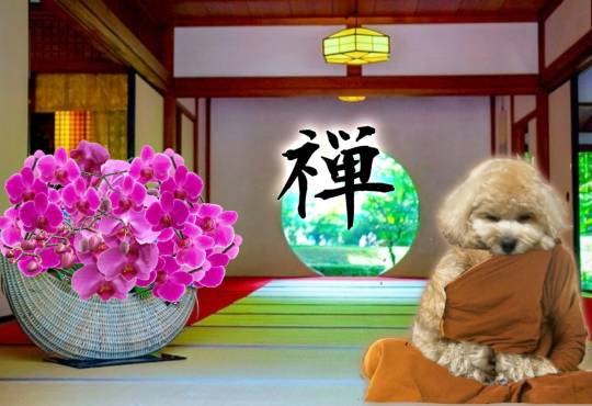 生き物ルーム第37