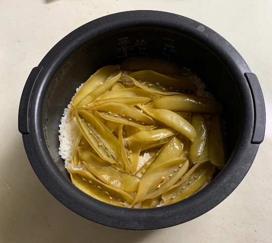 生き物ルーム第37