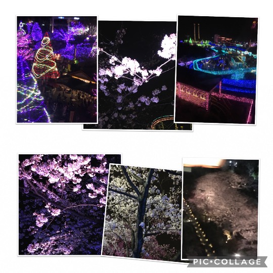 花鳥風月に心を込めて...　(エアー花トピ2)