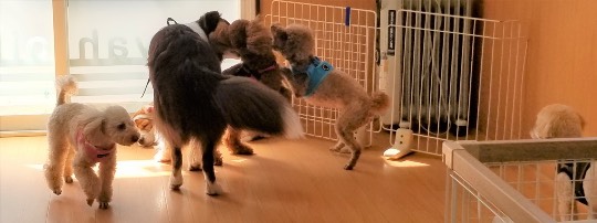 生き物ルーム第38