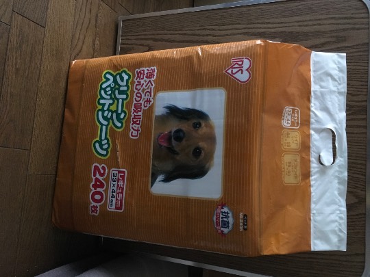 生き物ルーム第36