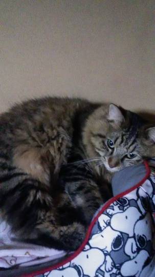 生き物ルーム第36