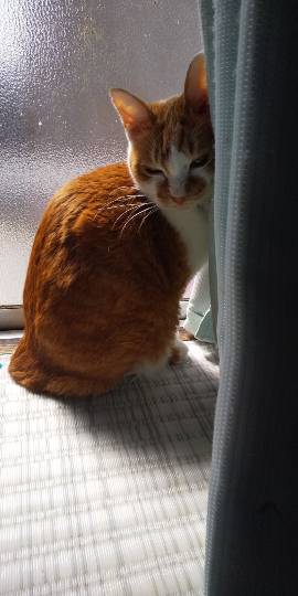 生き物ルーム第38